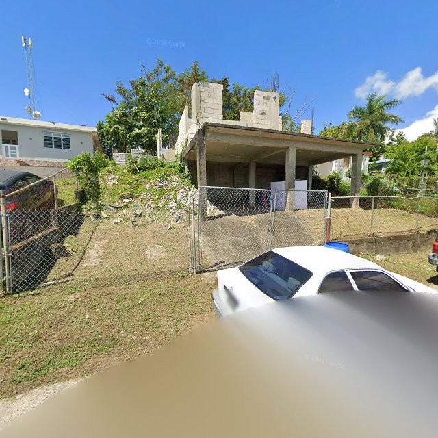 Propiedad declarada estorbo público en 84P2+W6M Canovanillas, Canóvanas, Puerto Rico 00729, Canóvanas