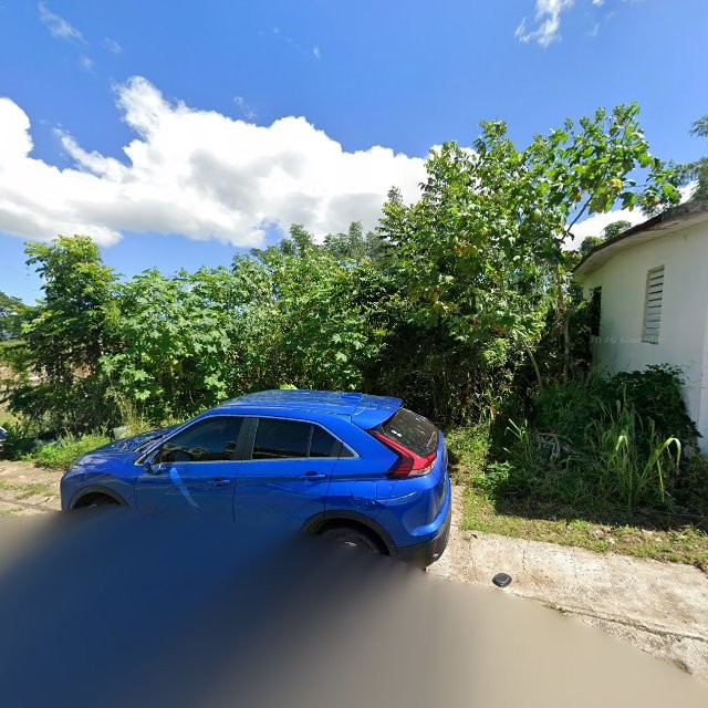 Propiedad declarada estorbo público en 84Q2+77C Campo Rico, Canóvanas, Puerto Rico 00729, Canóvanas