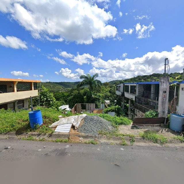 Propiedad declarada estorbo público en 84M4+W7V Campo Rico, Canóvanas, Puerto Rico 00729, Canóvanas