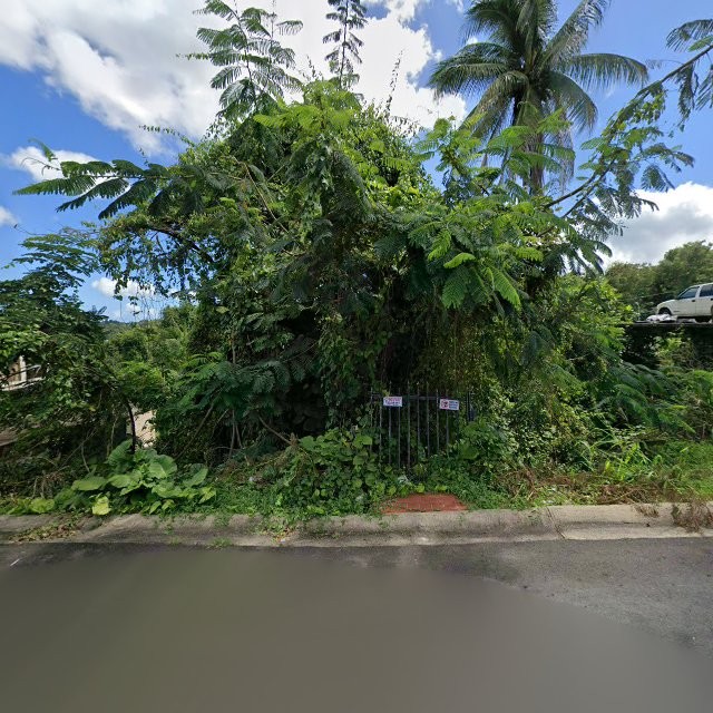 Foto de estorbo público en Canóvanas