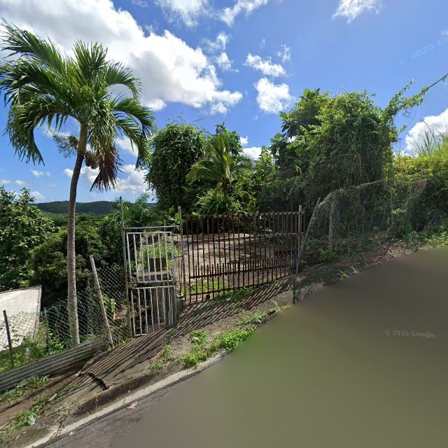 Propiedad declarada estorbo público en 84M4+568 Campo Rico, Canóvanas, Puerto Rico 00729, Canóvanas