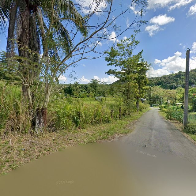 Propiedad declarada estorbo público en 84J6+M2M Campo Rico, Canóvanas, Puerto Rico 00729, Canóvanas