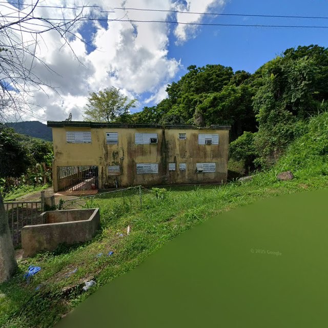 Propiedad declarada estorbo público en 84J5+CR3 Campo Rico, Canóvanas, Puerto Rico 00729, Canóvanas