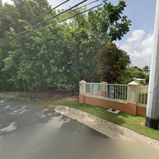 Propiedad declarada estorbo público en 8H5X+X3J Morovis, Puerto Rico 00687, Morovis