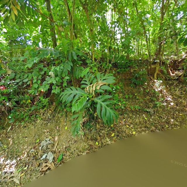 Foto de estorbo público en Morovis