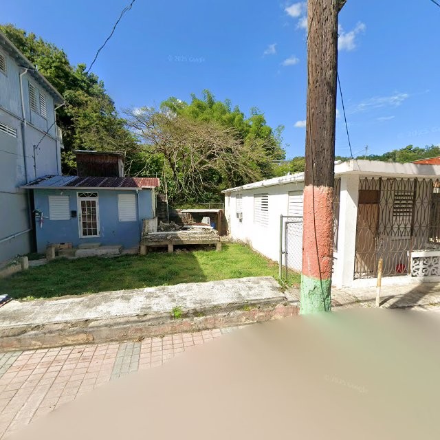 Propiedad declarada estorbo público en 8Q24+F9F Naranjito, Puerto Rico 00719, Naranjito