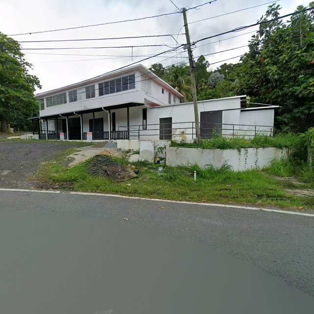 Propiedad declarada estorbo público en 8Q2J+QXG Naranjito, Puerto Rico 00719, Naranjito