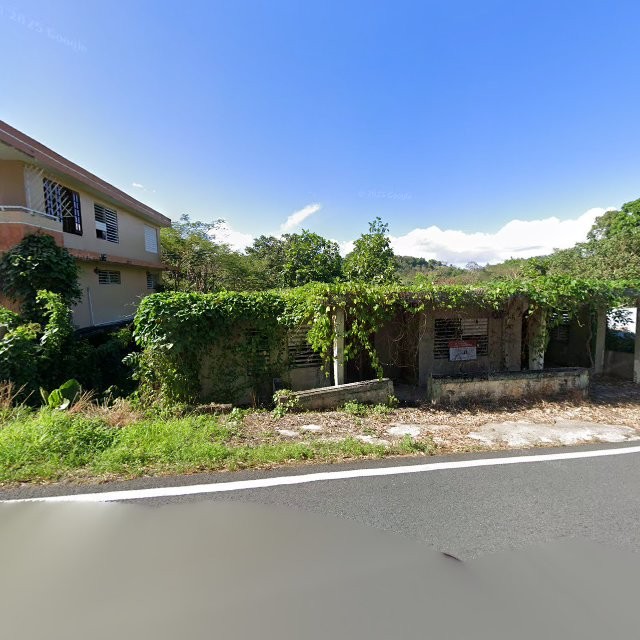 Propiedad declarada estorbo público en 8Q3P+5QM Naranjito, Puerto Rico 00719, Naranjito