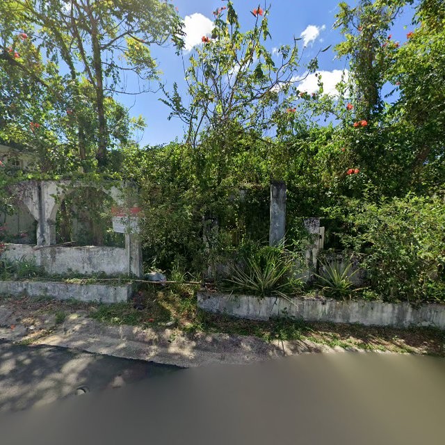 Propiedad declarada estorbo público en 7QWQ+3CX Naranjito, Puerto Rico 00719, Naranjito