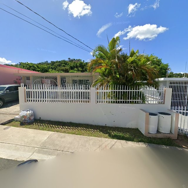 Propiedad declarada estorbo público en 7QWQ+FJ2 Naranjito, Puerto Rico 00719, Naranjito