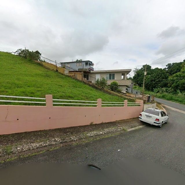 Propiedad declarada estorbo público en 7WVM+QFC La Liga, Caguas, Puerto Rico 00725, Caguas