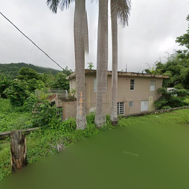 Foto de estorbo público en Caguas