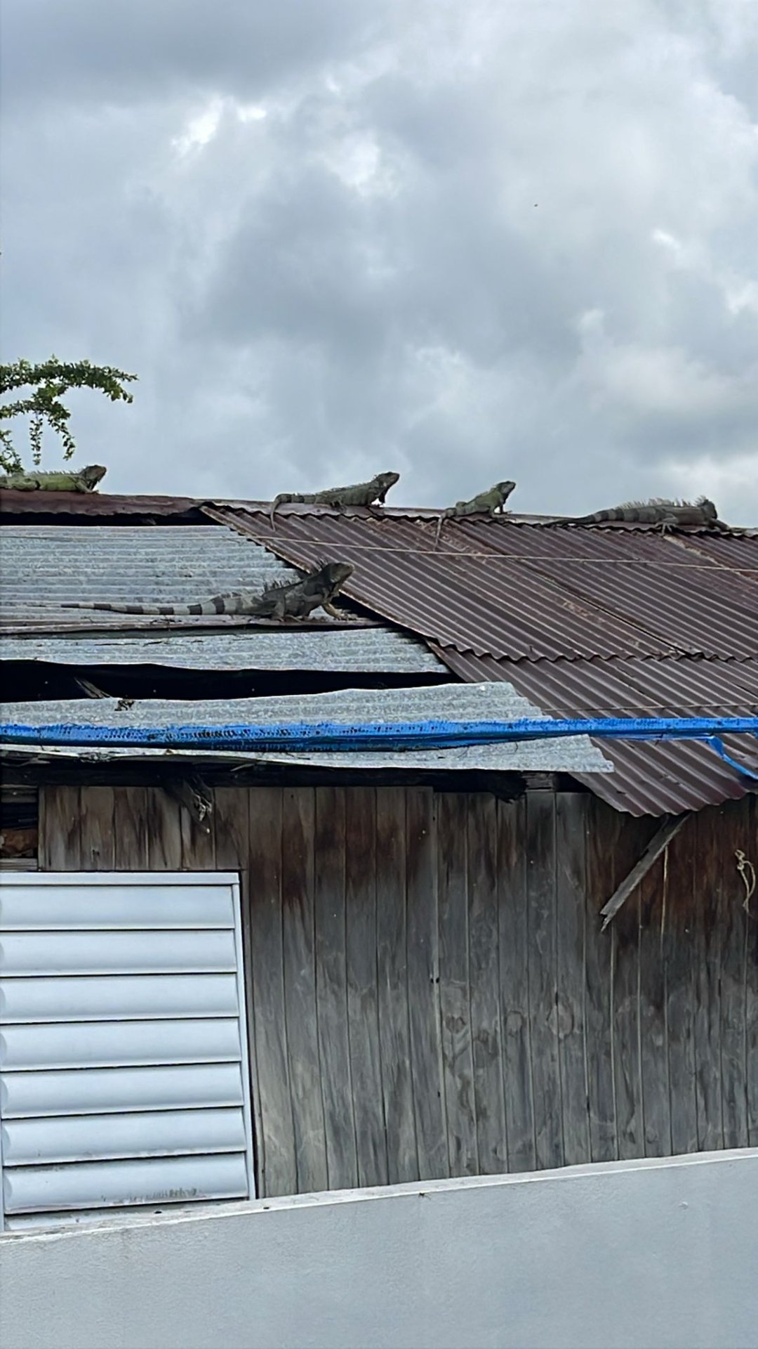 Reporte ciudadano de estorbo público en 10 Cll Eckman, Juana Díaz, 00795, Puerto Rico, Juana Díaz