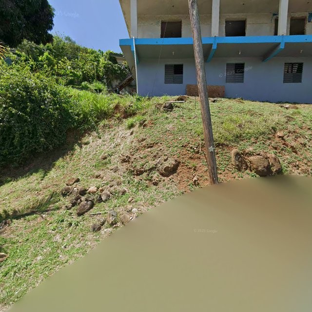 Propiedad declarada estorbo público en 7QHJ+FMQ Naranjito, Puerto Rico 00957, Naranjito