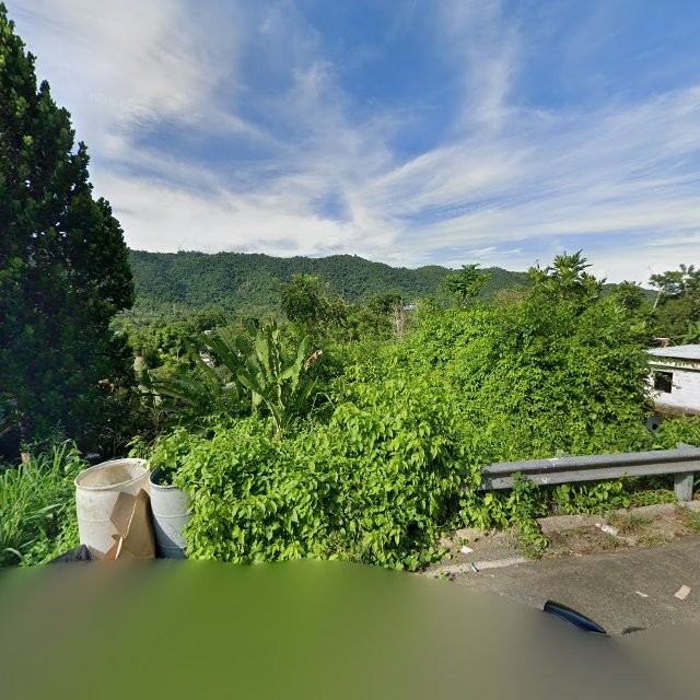 Foto de estorbo público en Caguas