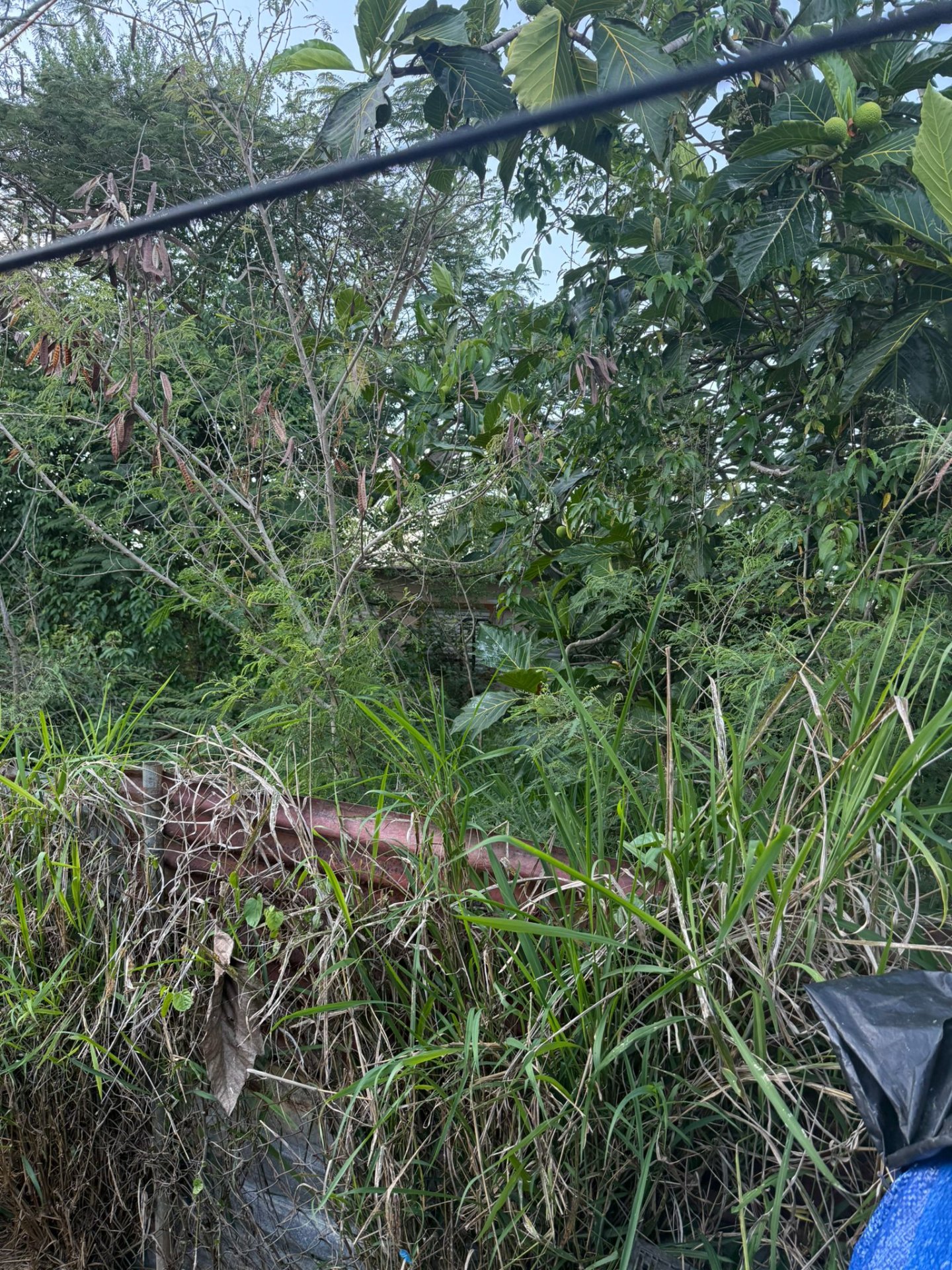 Reporte ciudadano de estorbo público en Calle Monzo Mendez, Isabela, PR 00662, Isabela