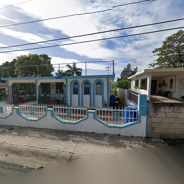 Foto de estorbo público en Juncos