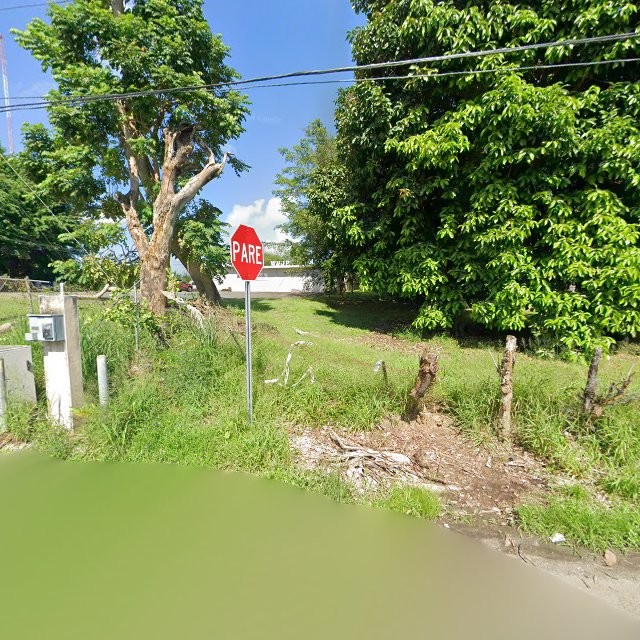 Foto de estorbo público en Caguas