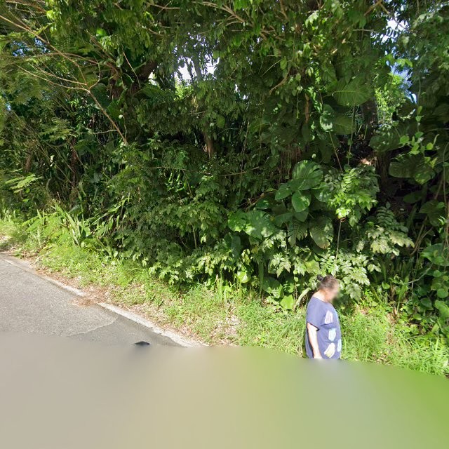 Propiedad declarada estorbo público en 63H5+24M Juncos, Puerto Rico 00777, Juncos