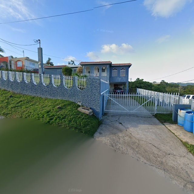 Propiedad declarada estorbo público en 63C5+93X Juncos, Puerto Rico 00777, Juncos