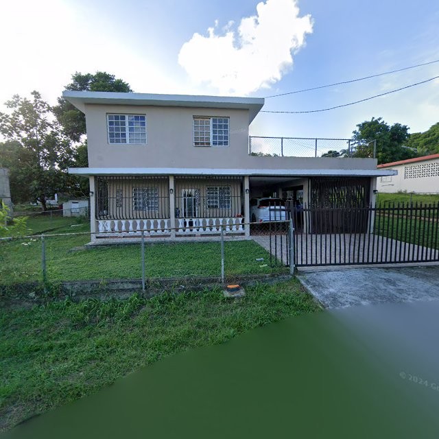 Foto de estorbo público en Juncos