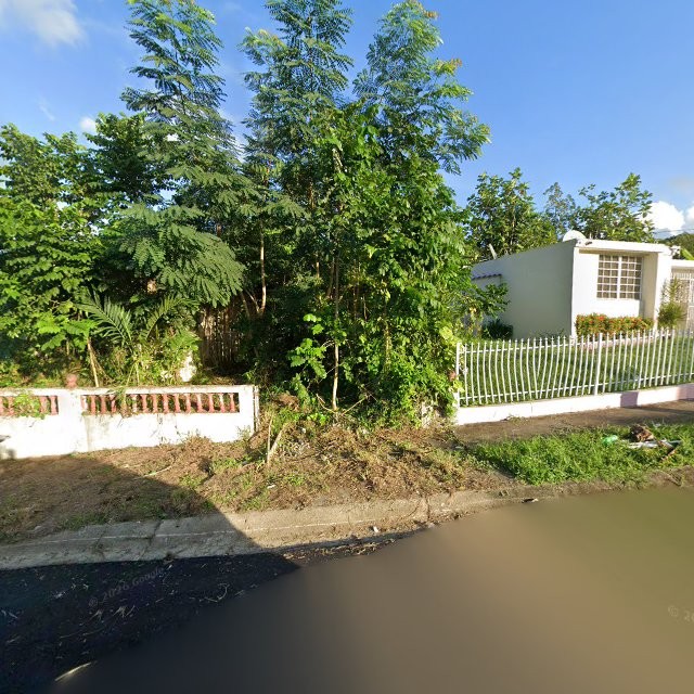 Propiedad declarada estorbo público en 63P8+F33 Juncos, Puerto Rico 00777, Juncos