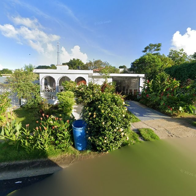 Propiedad declarada estorbo público en 63P8+G35 Juncos, Puerto Rico 00777, Juncos