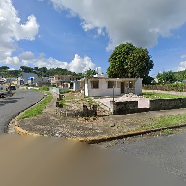 Propiedad declarada estorbo público en 63QG+4XR Juncos, Puerto Rico 00777, Juncos