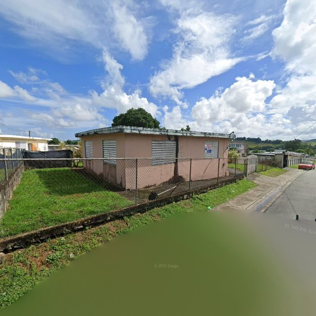 Propiedad declarada estorbo público en 64PC+76H El Mangó, Juncos, Puerto Rico 00777, Juncos