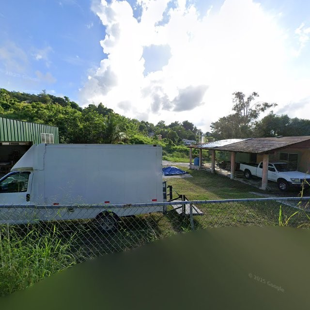 Foto de estorbo público en Juncos