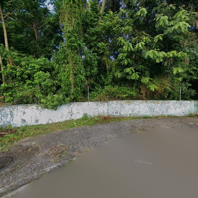 Foto de estorbo público en Juncos