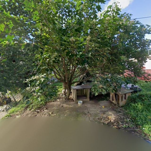 Foto de estorbo público en Las Piedras