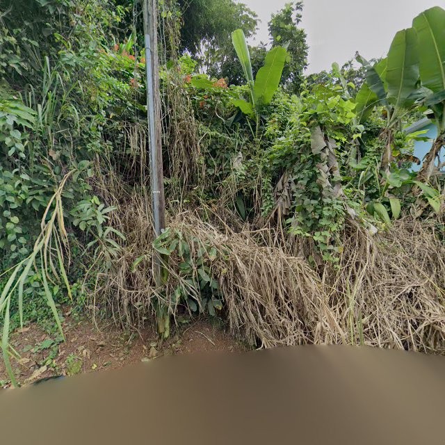 Foto de estorbo público en Caguas