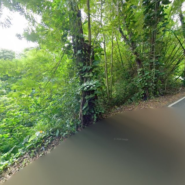 Propiedad declarada estorbo público en 6X3G+QWF Caguas, Puerto Rico 00725, Caguas