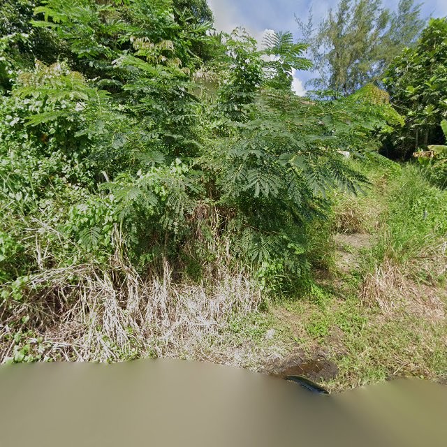 Propiedad declarada estorbo público en 6X2G+4VJ Caguas, Puerto Rico 00725, Caguas