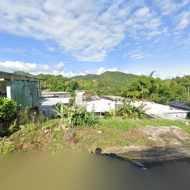 Propiedad declarada estorbo público en 5WPV+RWC Caguas, Puerto Rico 00727, Caguas