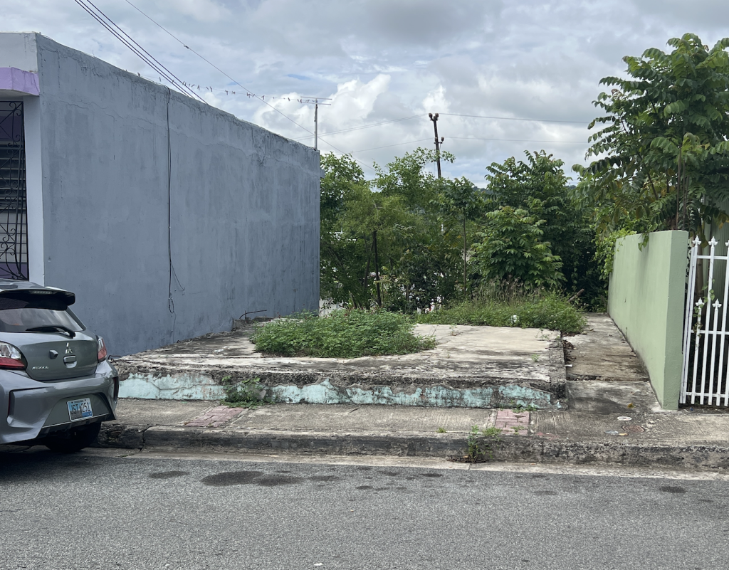 Propiedad declarada estorbo público en Calle Federico Selles Núm. 66, San Lorenzo, PR, San Lorenzo