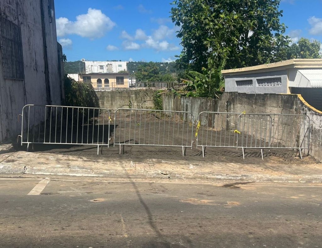 Propiedad declarada estorbo público en Calle José de Diego Núm. 56, San Lorenzo, PR, San Lorenzo