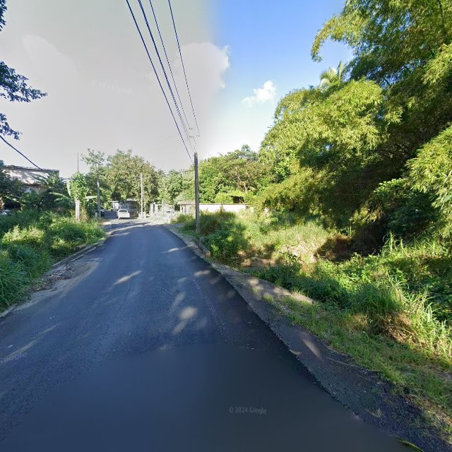 Foto de estorbo público en Juncos