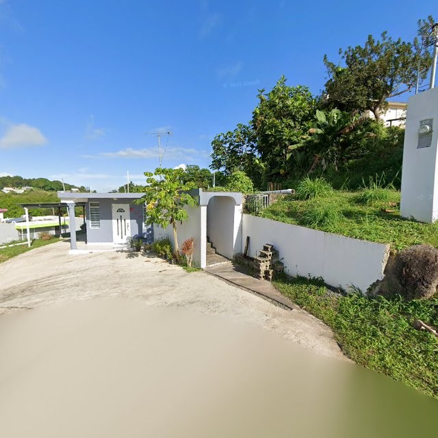 Propiedad declarada estorbo público en 54V2+CP8 Las Piedras, Puerto Rico 00777, Las Piedras