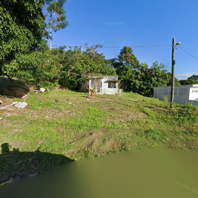 Propiedad declarada estorbo público en 54W8+34C Las Piedras, Puerto Rico 00771, Las Piedras