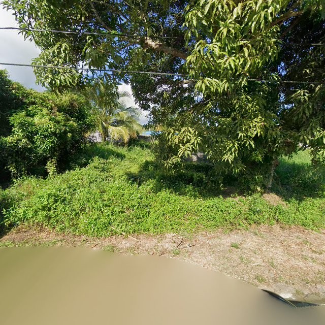 Propiedad declarada estorbo público en 54RH+6P4 Las Piedras, Puerto Rico 00771, Las Piedras