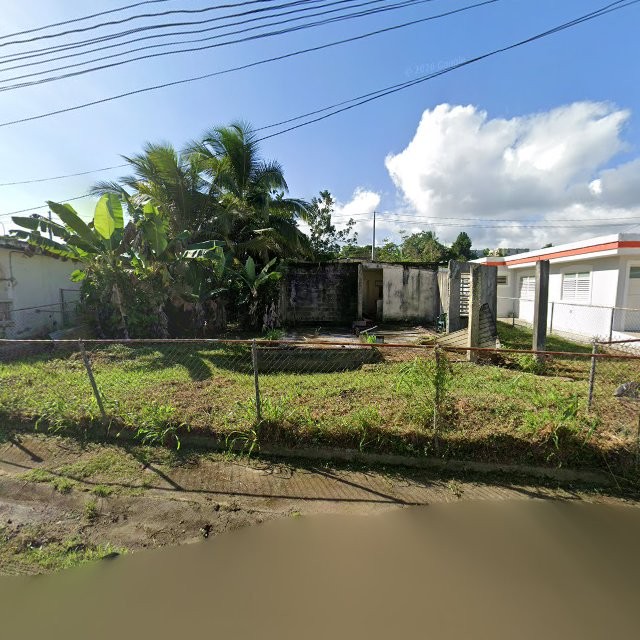 Propiedad declarada estorbo público en 54QJ+GC6 Las Piedras, Puerto Rico 00771, Las Piedras