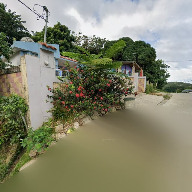 Propiedad declarada estorbo público en 5W44+R77 Beatriz, Cayey, Puerto Rico 00736, Cayey
