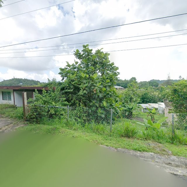 Propiedad declarada estorbo público en 5XMH+XF5 Tomás de Castro, Caguas, Puerto Rico 00725, Caguas