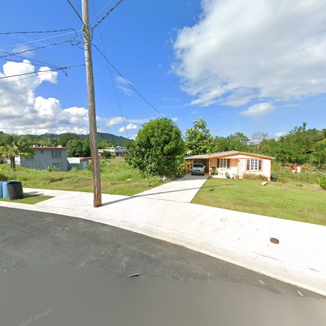 Propiedad declarada estorbo público en 5WGW+VWH Villa Borinquen, Caguas, Puerto Rico 00725, Caguas