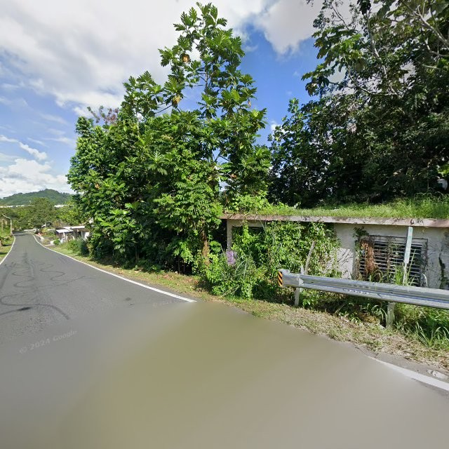 Propiedad declarada estorbo público en 5WGV+5XJ Villa Borinquen, Caguas, Puerto Rico 00725, Caguas