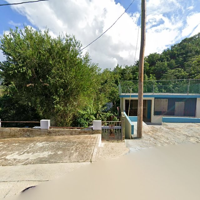 Propiedad declarada estorbo público en 5WFW+8JR Villa Borinquen, Caguas, Puerto Rico 00725, Caguas