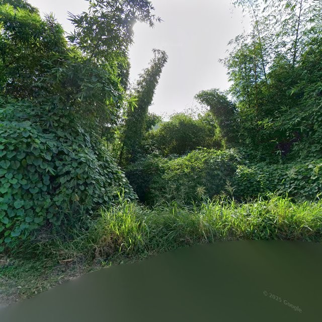 Propiedad declarada estorbo público en 5WCR+3J6 Villa Borinquen, Caguas, Puerto Rico 00725, Caguas