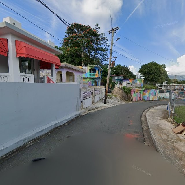 Foto de estorbo público en Las Piedras